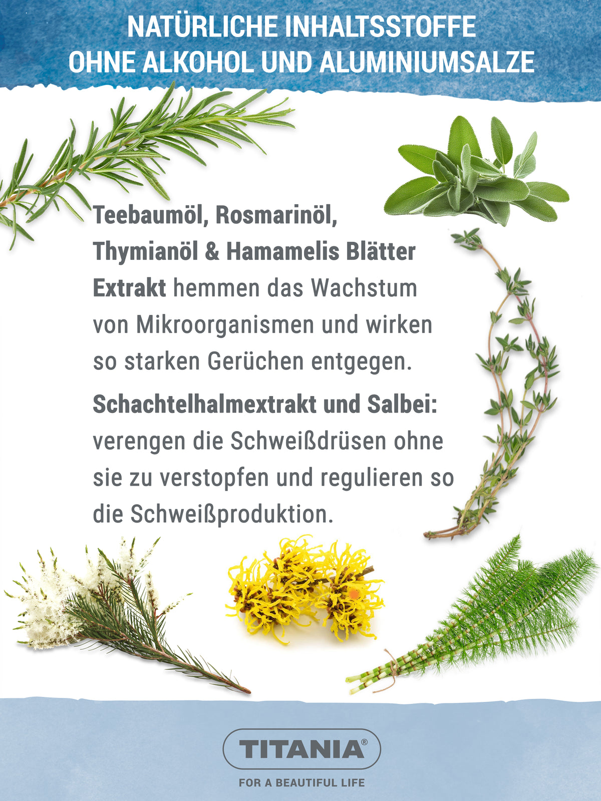 Fuß Spray antitranspirant